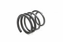 PRO-KIT Performance Springs (Set of 4 Springs) SUBARU WRX 2015-20